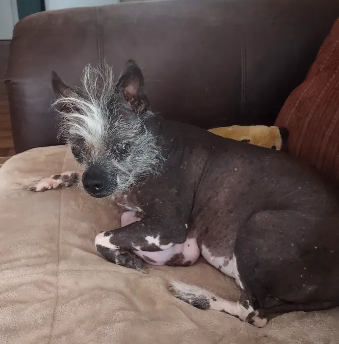 Barnesville Animal Clinic Picture 6