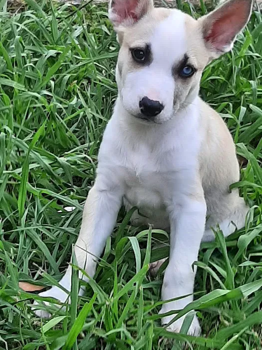 Barnesville Animal Clinic Picture 10