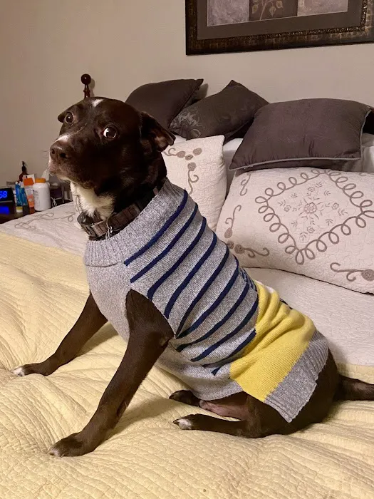 Barnesville Animal Clinic Picture 8