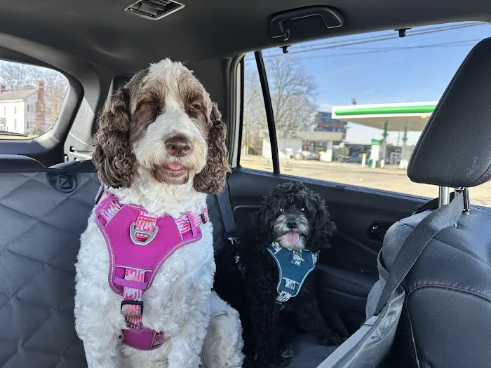 Barnesville Animal Clinic Picture 7