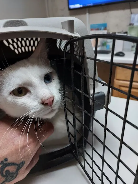 Barnesville Animal Clinic Picture 9