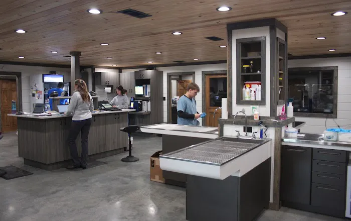 Thompson Veterinary Services (Mobile and Office For Large and Small Animals) Picture 7