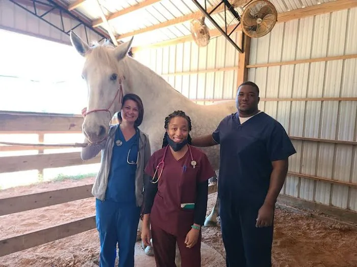 Thompson Veterinary Services (Mobile and Office For Large and Small Animals) Picture 6