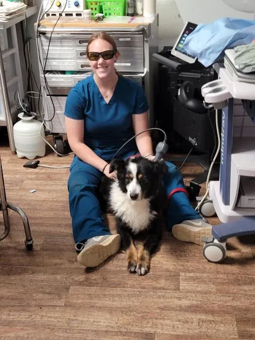 Thompson Veterinary Services (Mobile and Office For Large and Small Animals) Picture 3