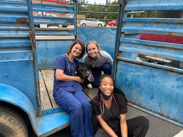 Thompson Veterinary Services (Mobile and Office For Large and Small Animals) Picture 8