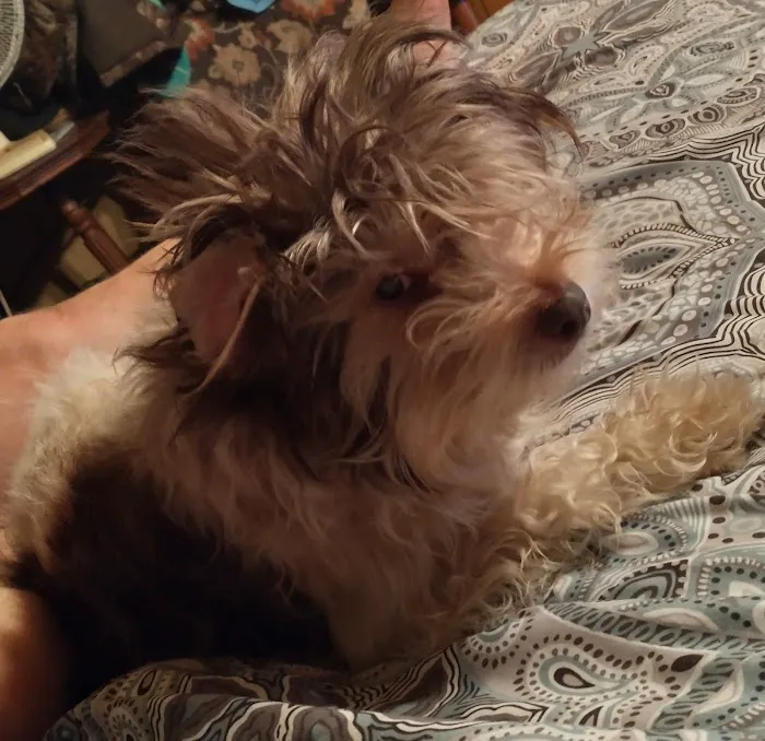 Thomaston Animal Hospital Picture 1