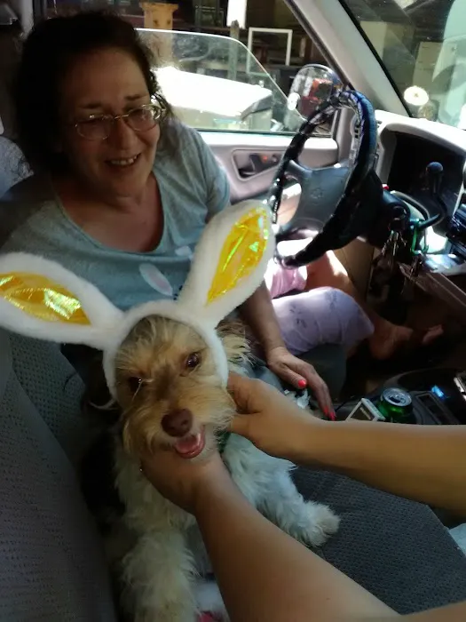 Thomaston Animal Hospital Picture 2