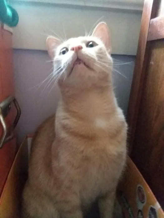 Thomaston Animal Hospital Picture 4