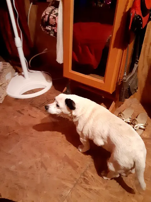 Thomaston Animal Hospital Picture 6