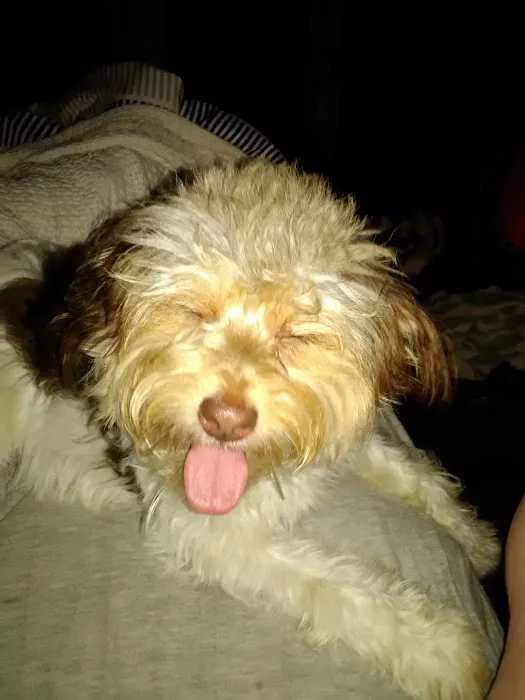 Thomaston Animal Hospital Picture 7