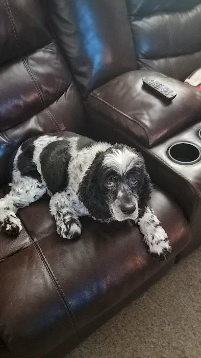 Hannah's Mill Animal Hospital Picture 4