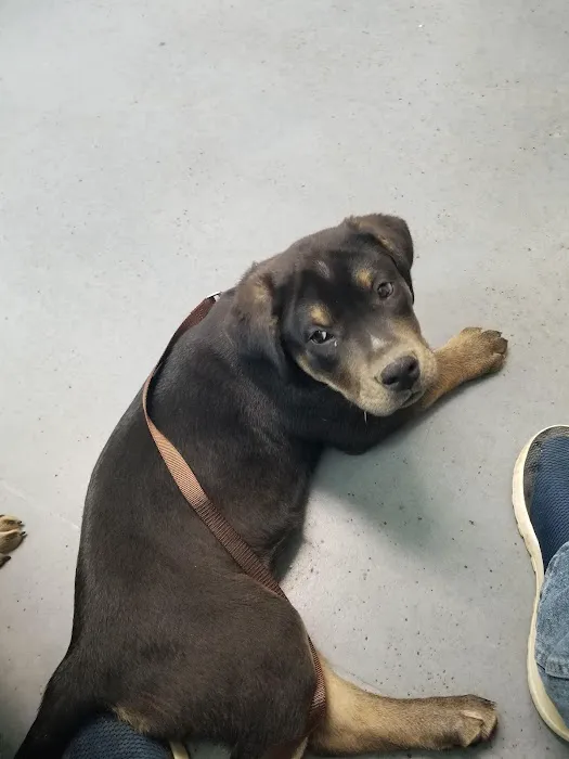 Hannah's Mill Animal Hospital Picture 3