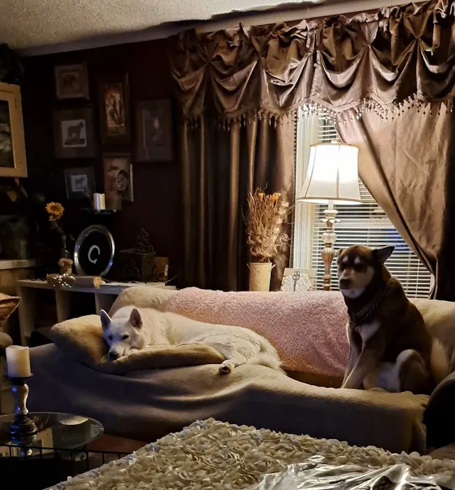 West Mobile Animal Clinic Picture 1