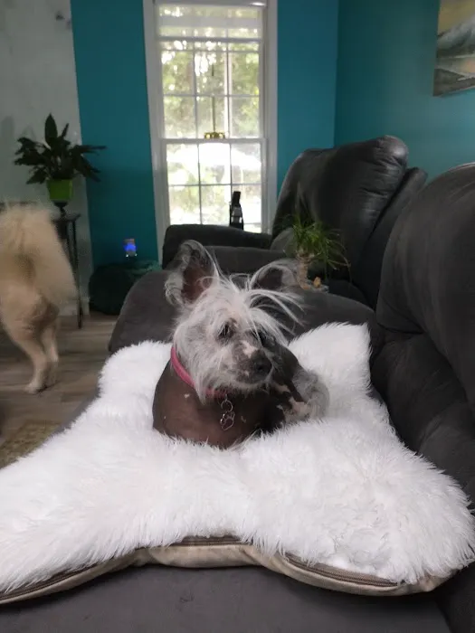 West Mobile Animal Clinic Picture 4