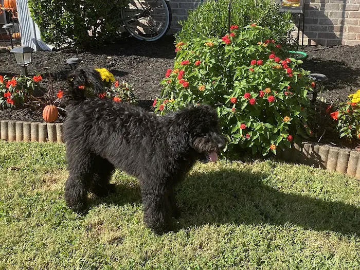 West Mobile Animal Clinic Picture 2