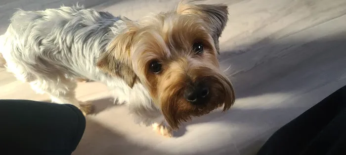 West Mobile Animal Clinic Picture 3