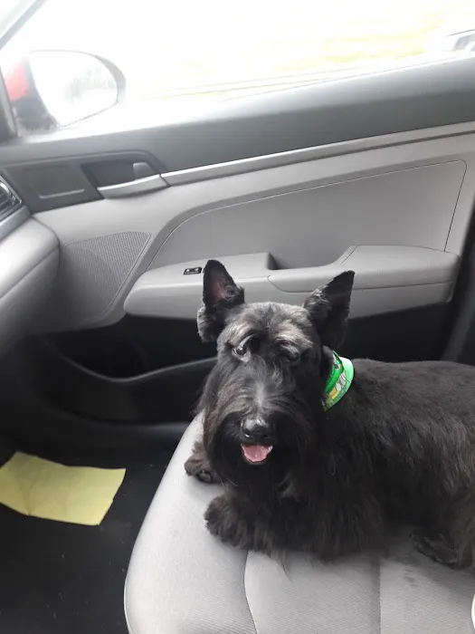 West Mobile Animal Clinic Picture 6