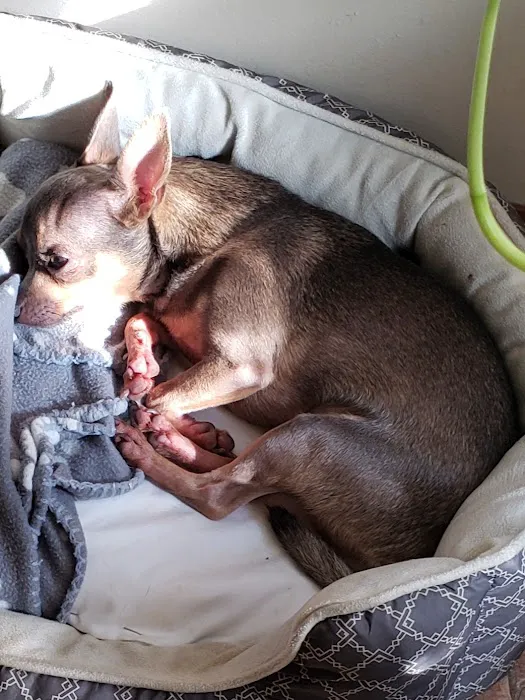 West Mobile Animal Clinic Picture 8