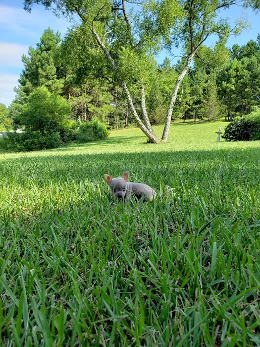 West Mobile Animal Clinic Picture 7