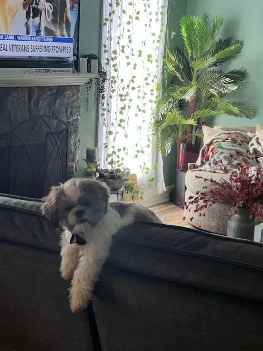 West Mobile Animal Clinic Picture 10