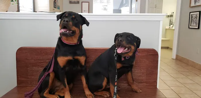 Dogwood Veterinary Hospital Picture 1