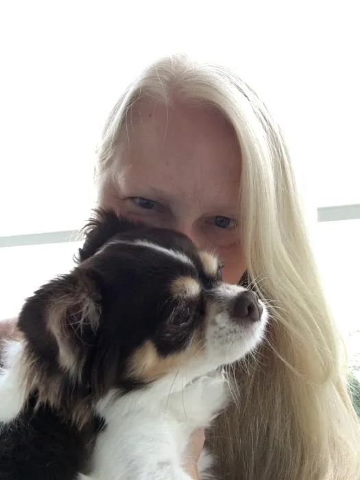 Dogwood Veterinary Hospital Picture 3