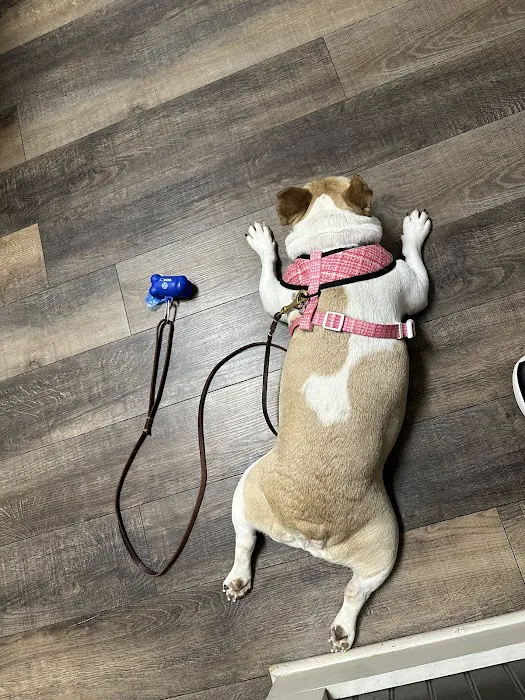 Senoia Animal Hospital and Pet Resort Picture 2