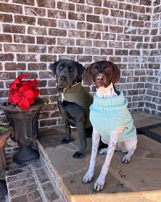 Senoia Animal Hospital and Pet Resort Picture 5