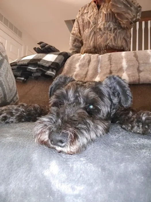 Greenville Veterinary Clinic Picture 3