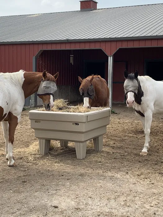 Greenville Veterinary Clinic Picture 5