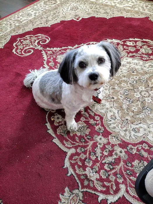 Greenville Veterinary Clinic Picture 9