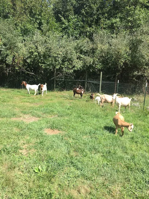 Greenville Veterinary Clinic Picture 10