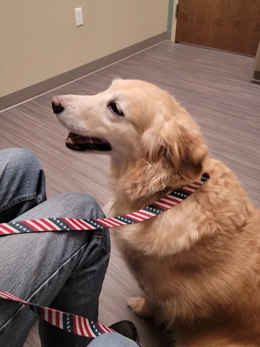 Highland Animal Hospital LLC Picture 1