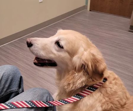 Highland Animal Hospital LLC