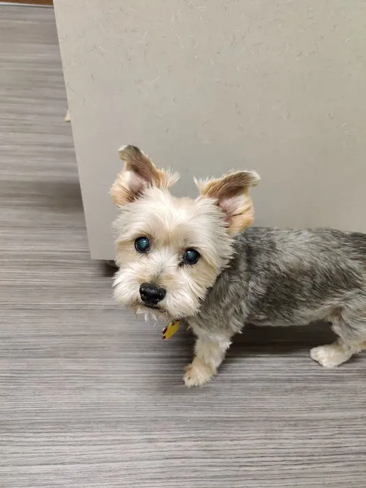 Highland Animal Hospital LLC Picture 5