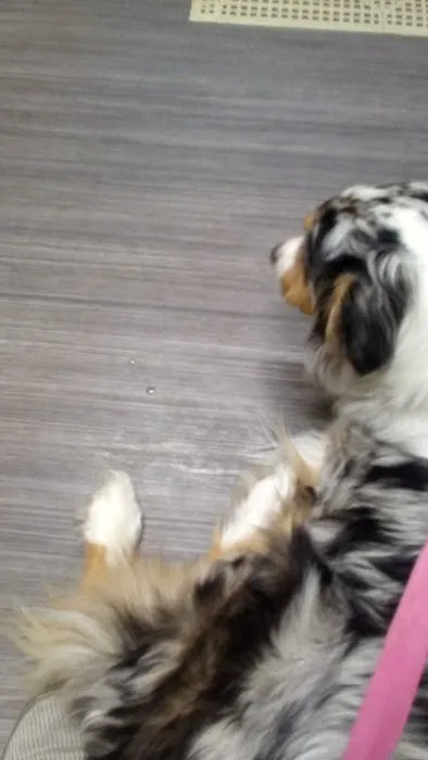 Highland Animal Hospital LLC Picture 7