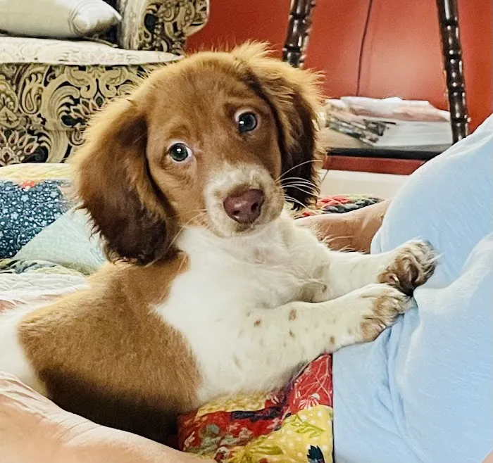 Ark Animal Hospital Picture 4