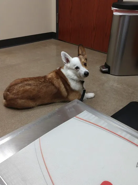 Ark Animal Hospital Picture 6