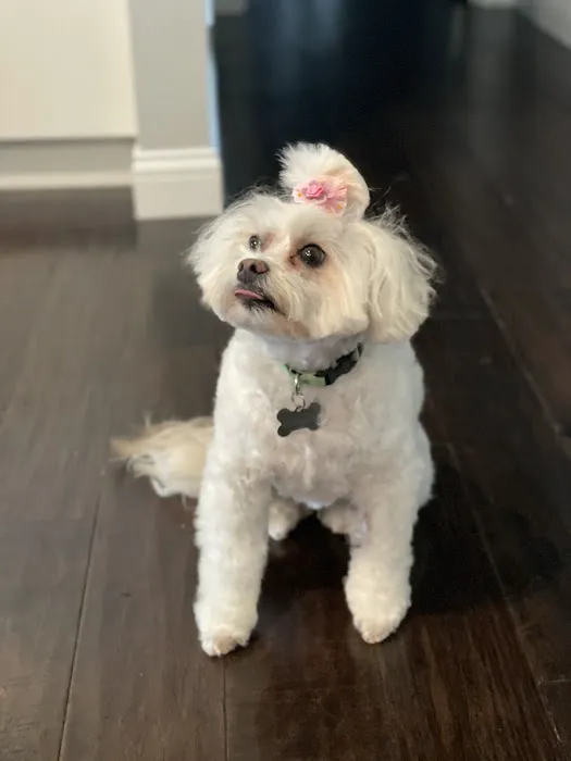 Ark Animal Hospital Picture 1