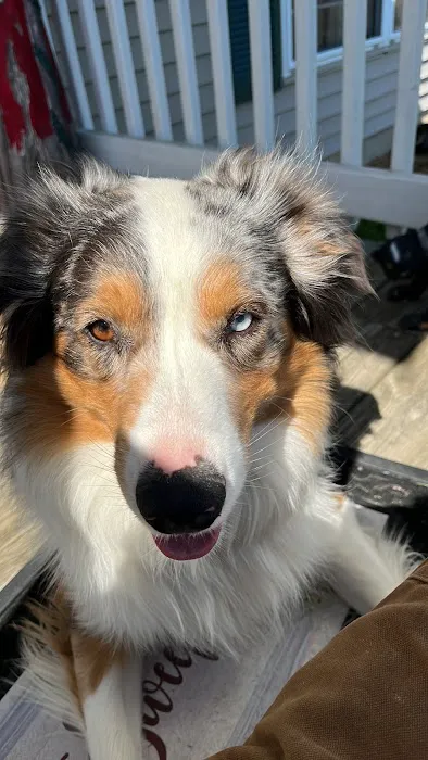 Ark Animal Hospital Picture 5