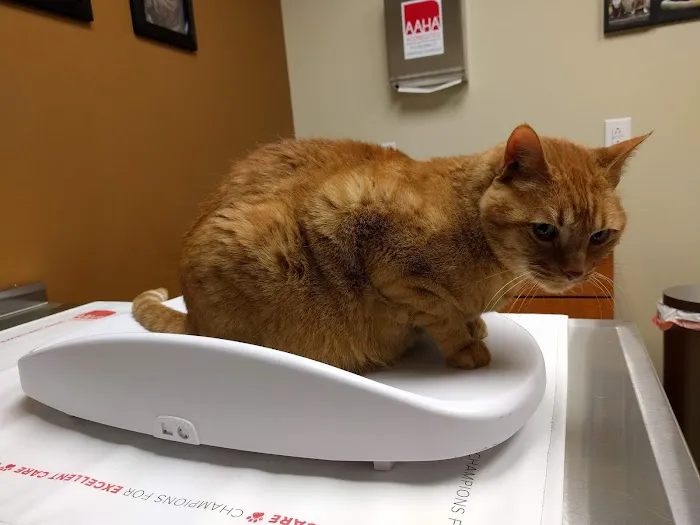 Ark Animal Hospital Picture 7