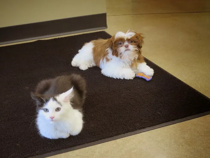 Ark Animal Hospital Picture 10