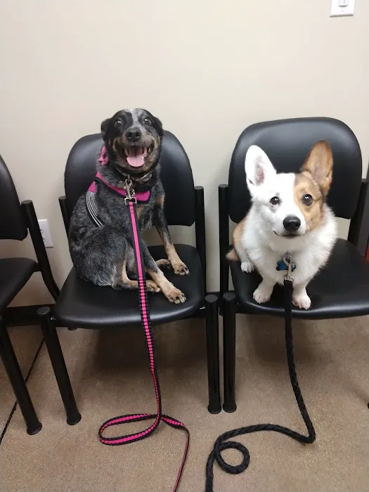 Ark Animal Hospital Picture 8