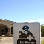 Hawthorne Animal Hospital, Ltd