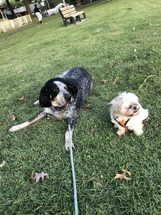 Hawthorne Animal Hospital, Ltd Picture 4