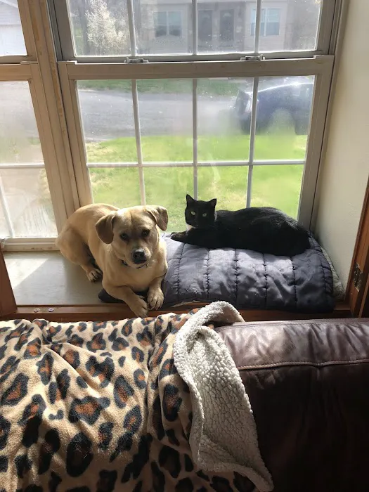 Hawthorne Animal Hospital, Ltd Picture 3