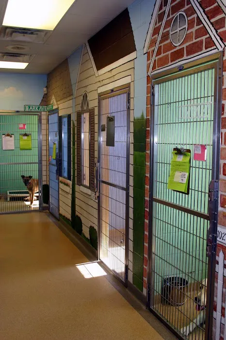 Hawthorne Animal Hospital, Ltd Picture 2