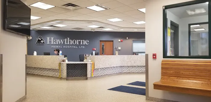 Hawthorne Animal Hospital, Ltd Picture 6