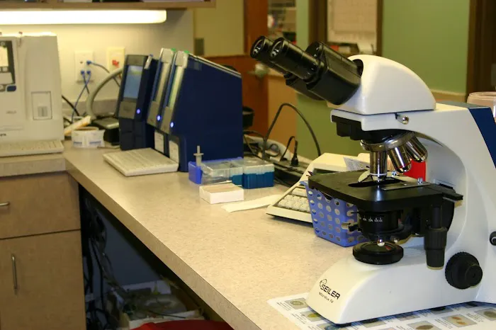 Hawthorne Animal Hospital, Ltd Picture 9