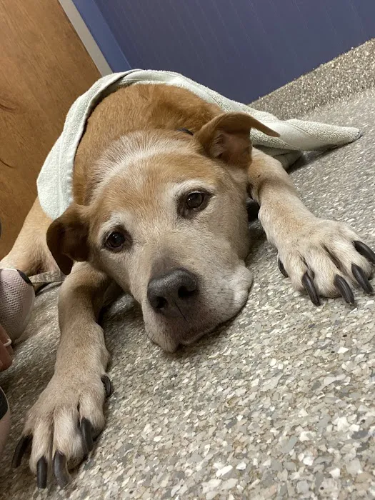 Hawthorne Animal Hospital, Ltd Picture 8